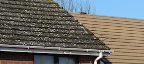 Gutter and roof cleaning in Basildon and Rayleigh